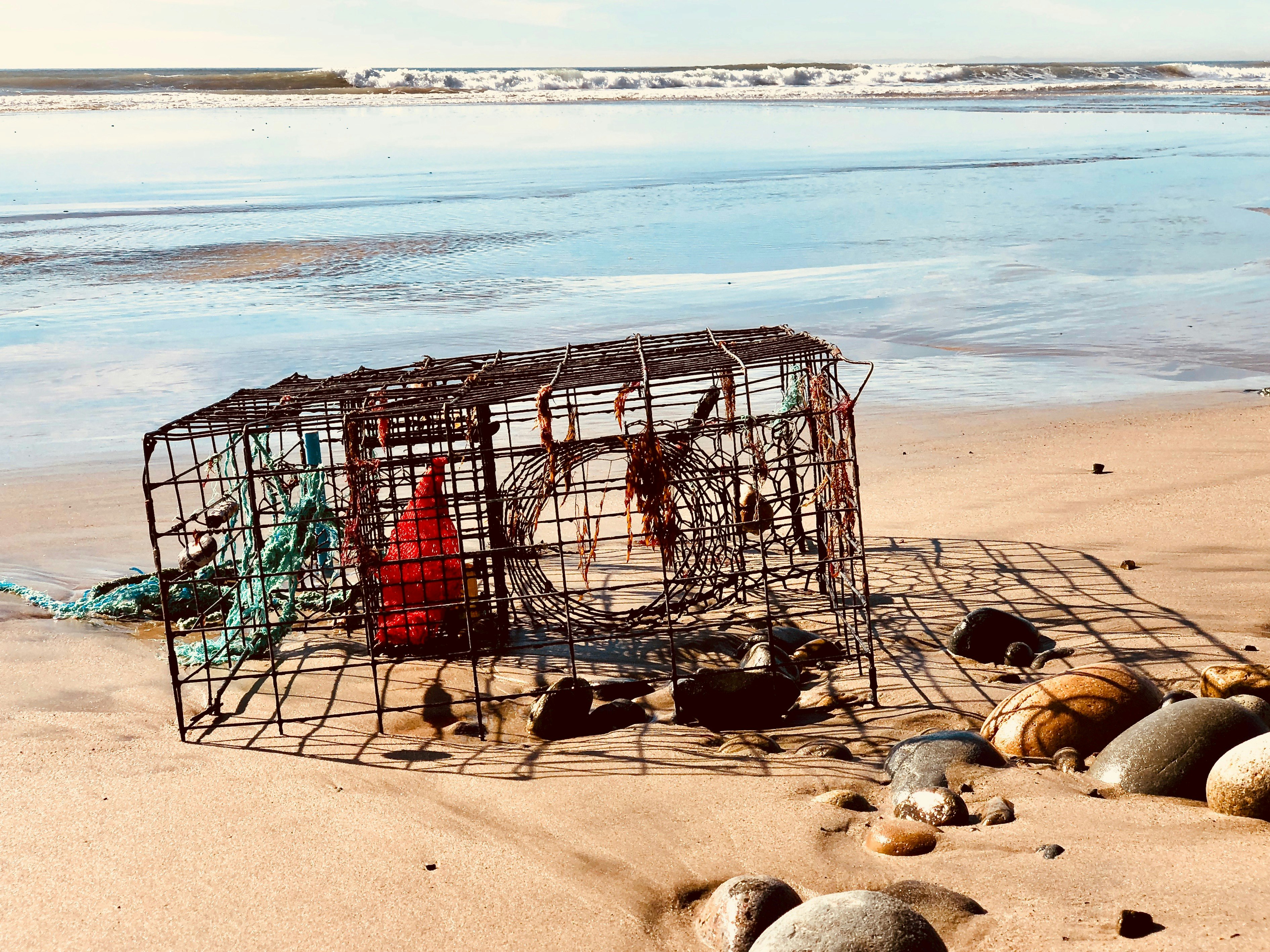 brown wire crab cage